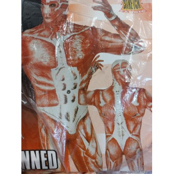 TUTA SCUOIATO VIVO W4462  OFFERTA