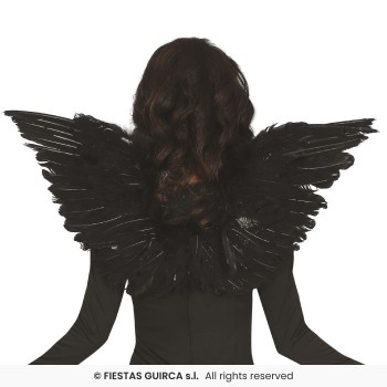 ALI PIUME NERE 70X40  G 16126